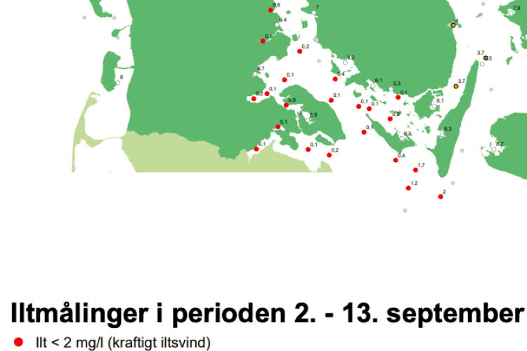 Miljøministeriet: Ærø bliver del af ny hav-nationalpark