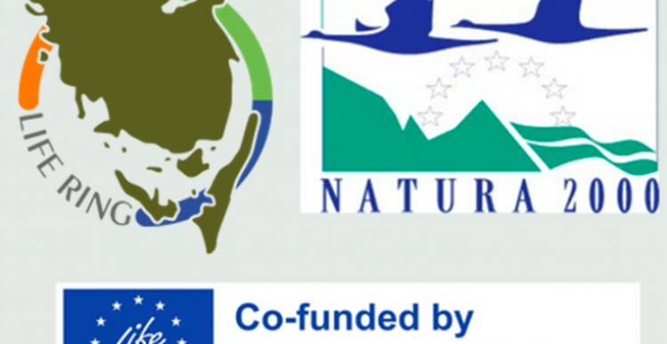 EU giver 80 millioner til naturprojekter på Ærø og Fyn